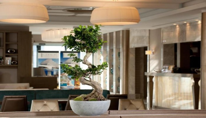 Titanic Comfort Hotel Berlin Mitte poza 11