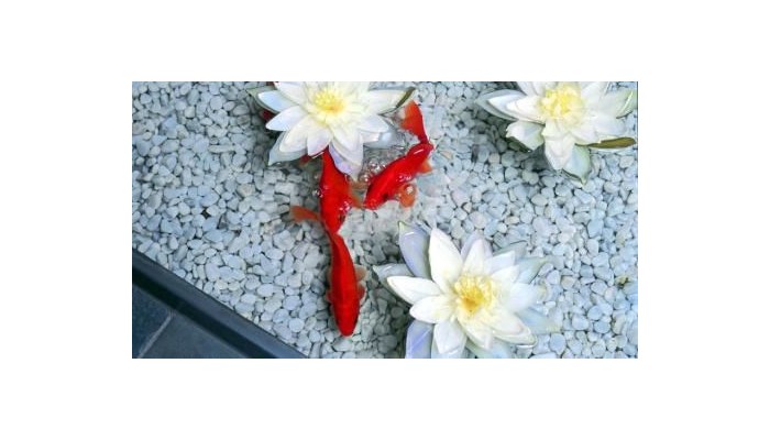 Hopper Hotel St. Antonius poza 21