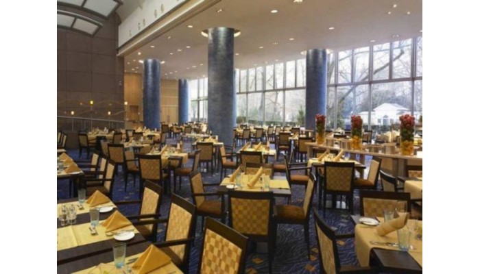 Hotel Hilton Frankfurt City Centre poza 4