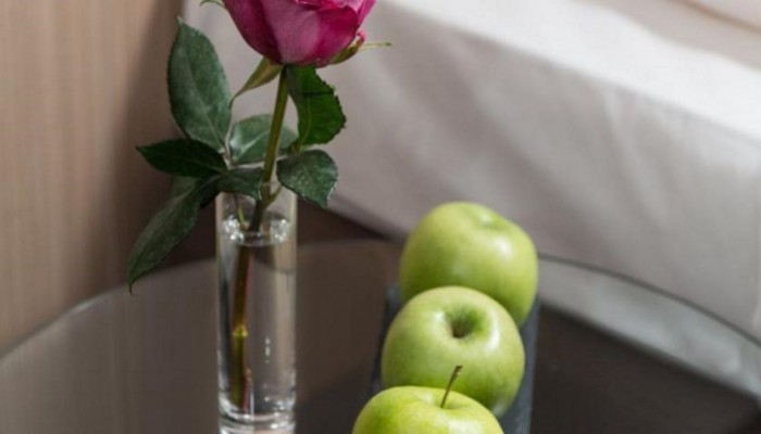 Hotel New Orly poza 6