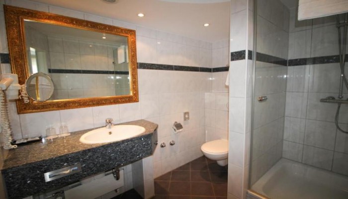 Hotel Vitalis poza 7