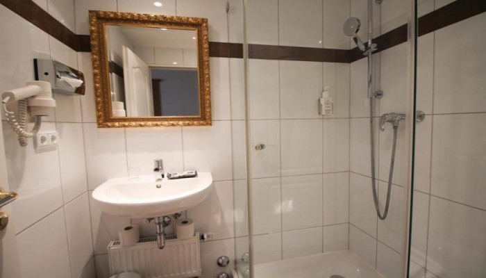 Hotel Vitalis poza 9