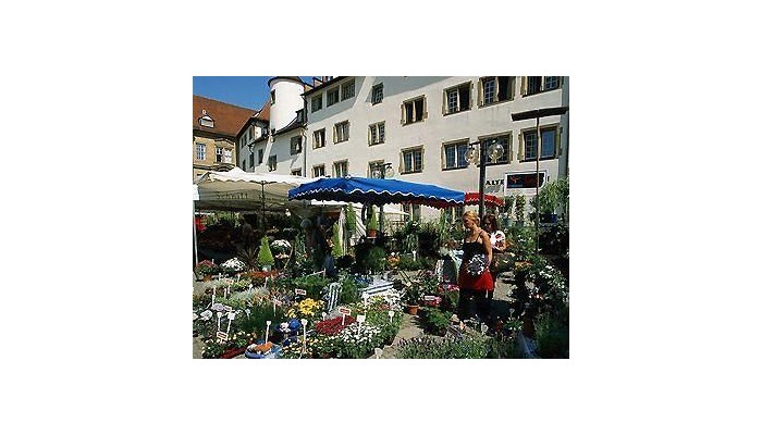 Doblergreen Hotel Stuttgart poza 21